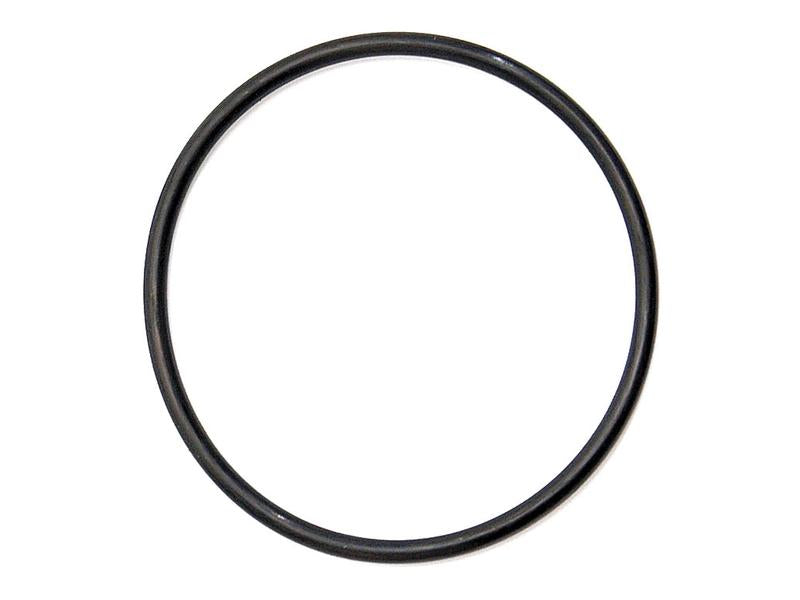 O'ring (S.43313)
