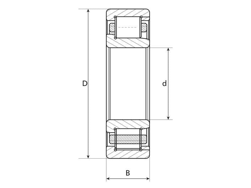 Sparex Rolamento de rolos cilíndricos (NUP211) (S.43447)