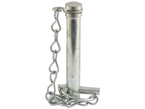 Cavilha com corrente 19x102mm Cat. 1 (Ø19mm) (S.5020)