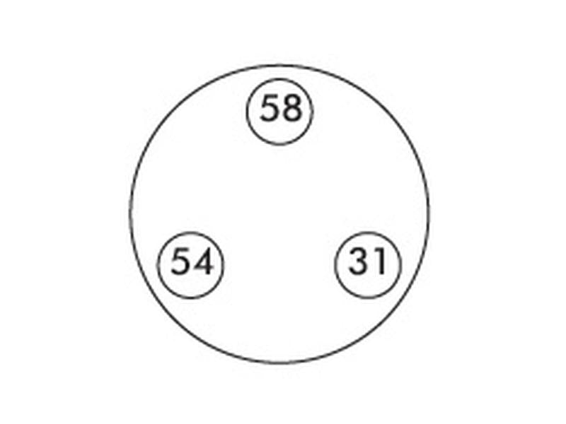 Ficha macho 2 polos (S.50979)