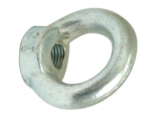 Porca de olhal: M8xØ20mm (DIN 582) (S.54777)