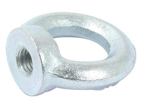 Porca de olhal: M10xØ25mm (DIN 582) (S.54778)