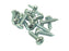 Parafuso Pozidrive autorroscante métrico, Tamanho: M5.5x25mm (DIN 7981B) (S.54824)