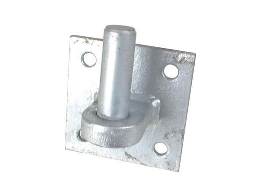 Gancho da porta - De parafuso, Tamanho da placa: 100mm x 100mm, Cavilha Ø22mm (S.55513)