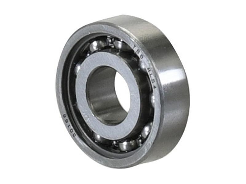 Sparex Rolamento (RLS42RS) (S.55983)