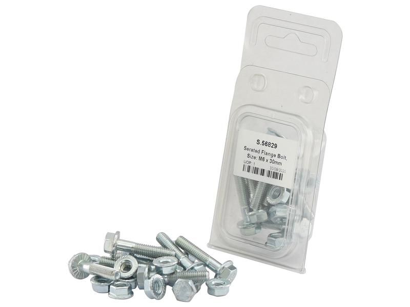 Agripak 20 un. Parafusos M6x30mm (S.56829)