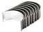 Capas de Biela +0.010'' (0.25mm) (Conjunto) (S.57644)