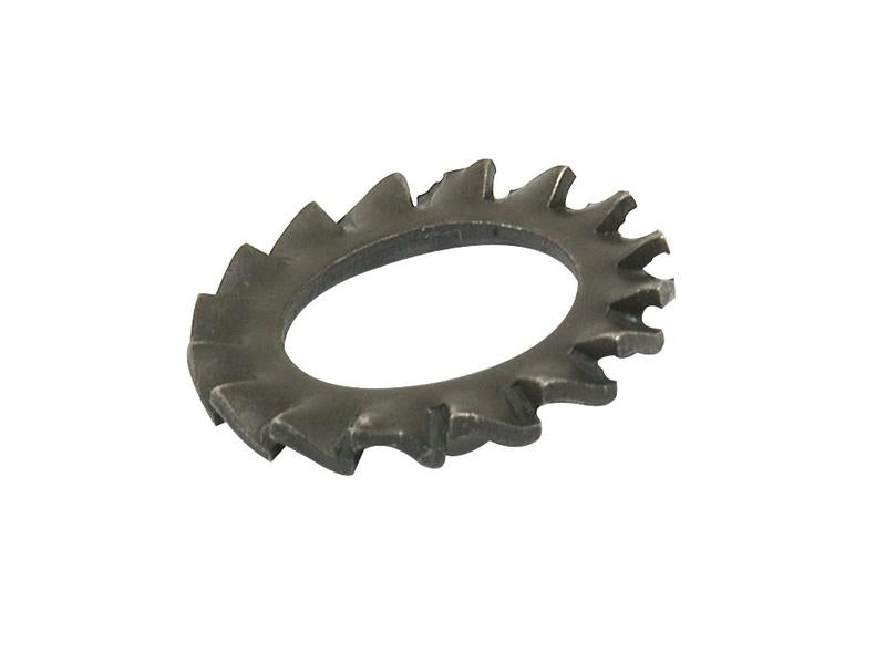 Anilha recartilhada externa, 24mm (S.5826)