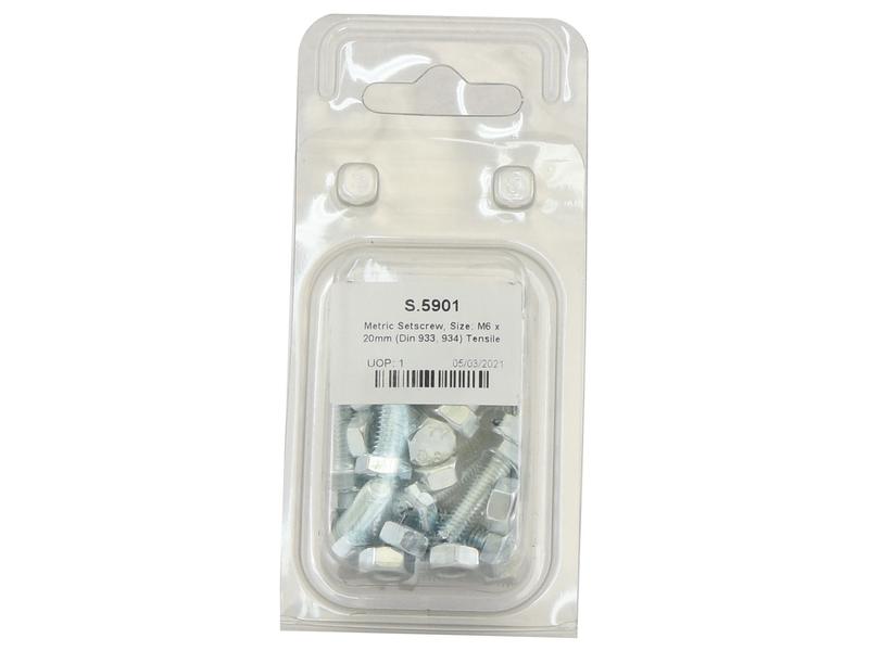 Agripak 20 un. Parafuso métrico M6x20mm (S.5901)