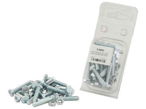 Agripak 20 un. Parafuso métrico M6x30mm (S.5902)