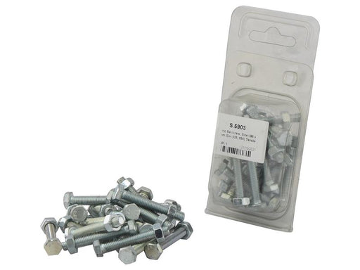 Agripak 20 un. Parafuso métrico M6x40mm (S.5903)