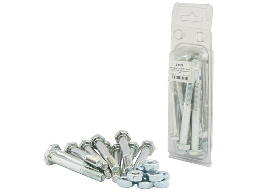 Agripak 10 un. Parafuso métrico, M10x80mm (S.5916)