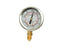 Manometro glicerina 1/4 (-1/+3 bar) (S.59480)