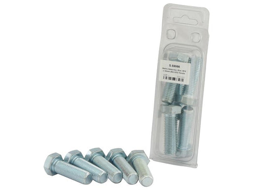 Agripak 5 un. Parafuso de ajuste métrico M16x50mm (S.59866)