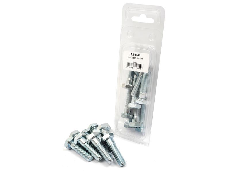 Agripak 10 un. Parafuso métrico, M10x40mm (S.59949)