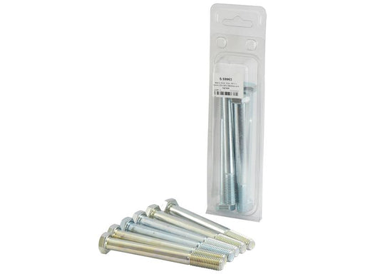 Agripak 6 un. Parafuso métrico, M12x120mm (S.59963)