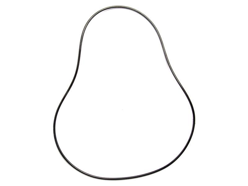 Anel de vedação do travão. (S.60531)