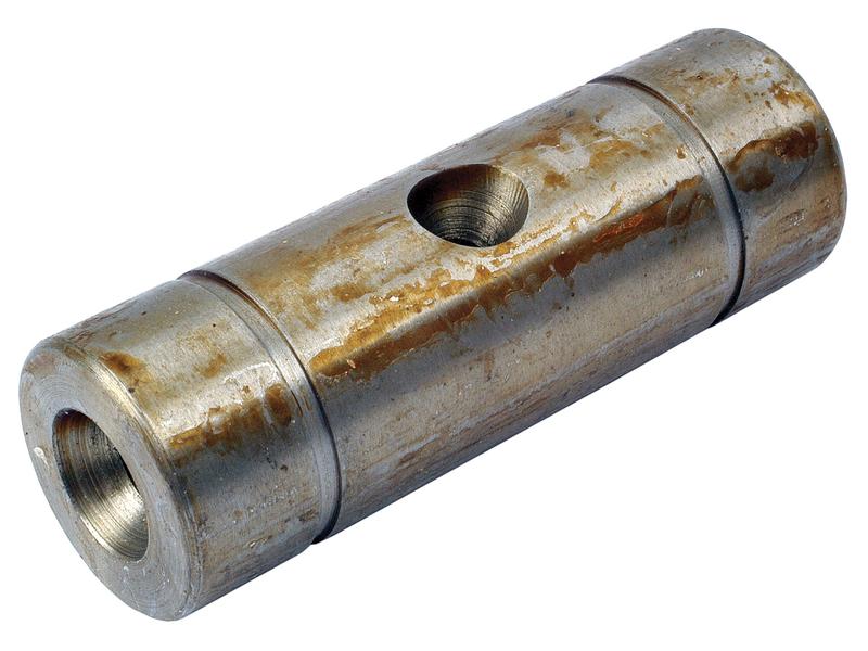 Cavilhão do eixo (S.61973)