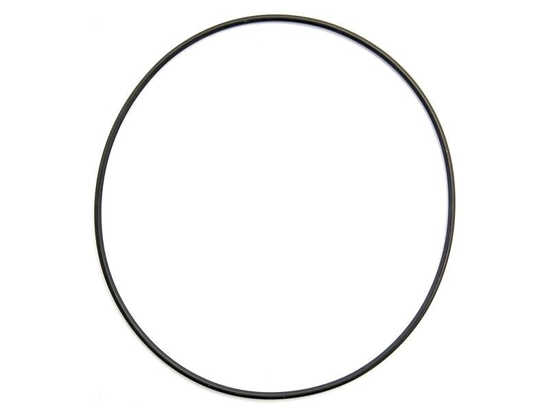 O'ring (S.62733)