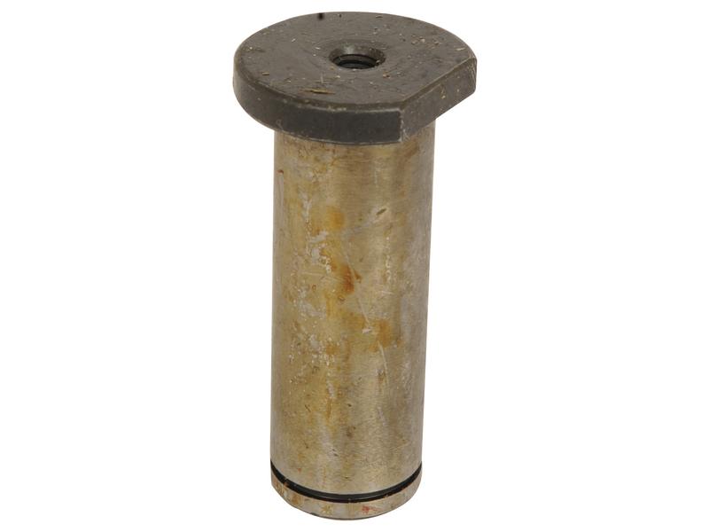 Cavilha cilindro externa (S.62871)