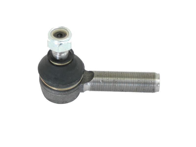 Ponteira Comp: 81mm (S.63165)