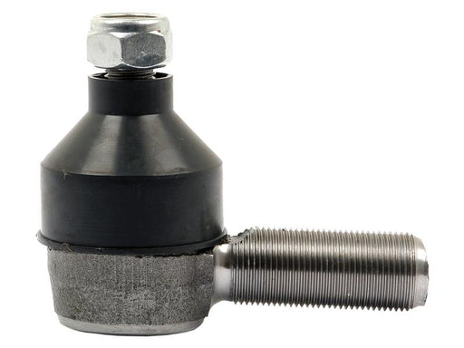 Ponteira Comp: 80mm (S.63169)