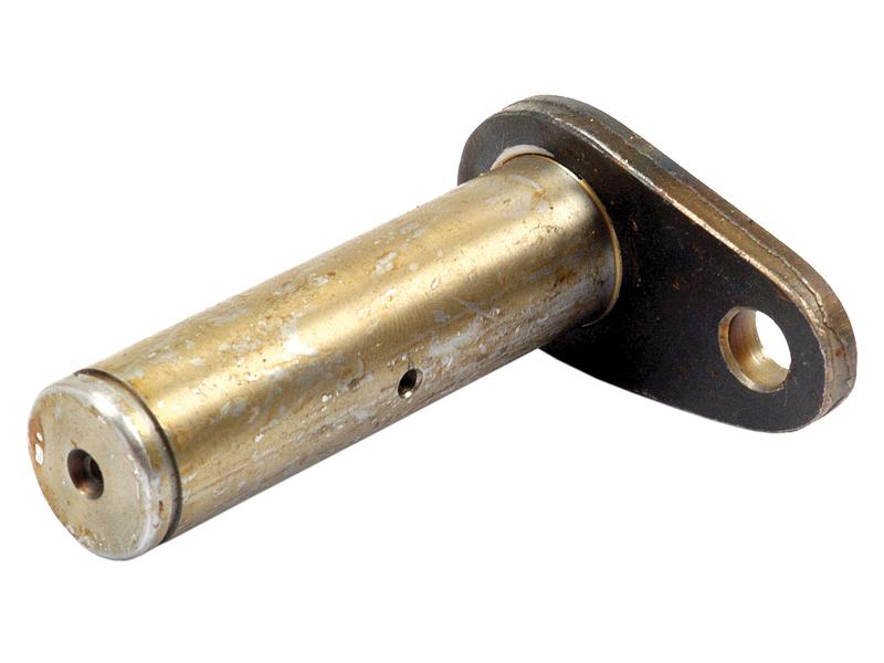 Cavilha cilindro (S.65096)