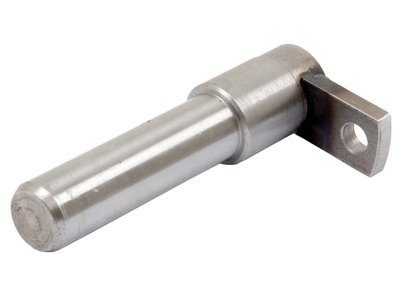 Cavilha cilindro (S.65097)