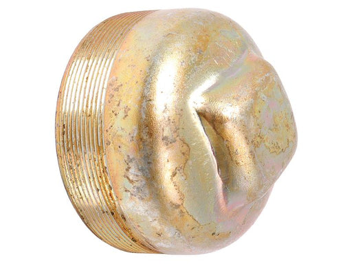 Tampão do cubo (S.65132)