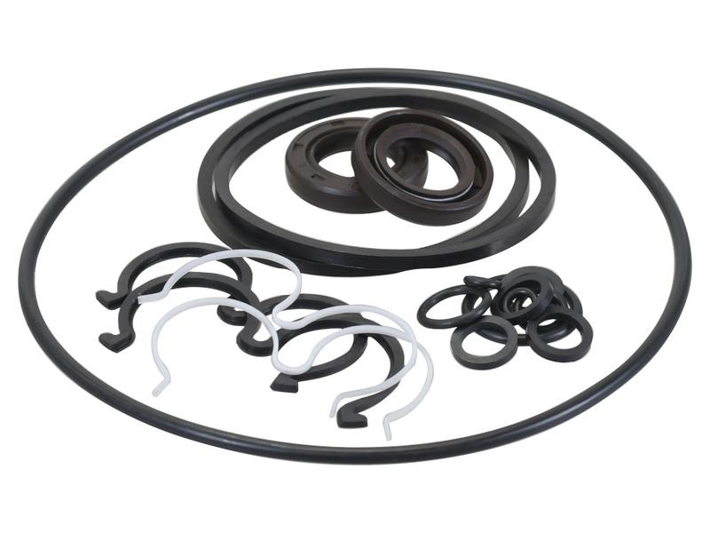 Kit de reparação da bomba hidráulica (S.65495)