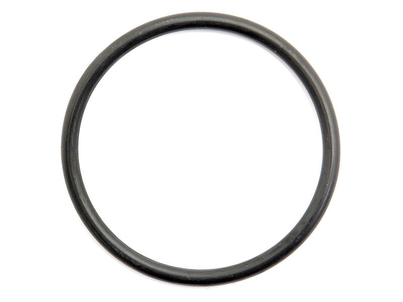 O'ring (S.65813)