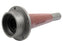 Falange (S.66119)