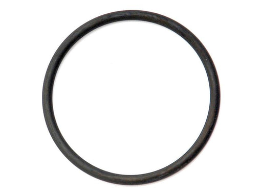 O'ring (S.66304)