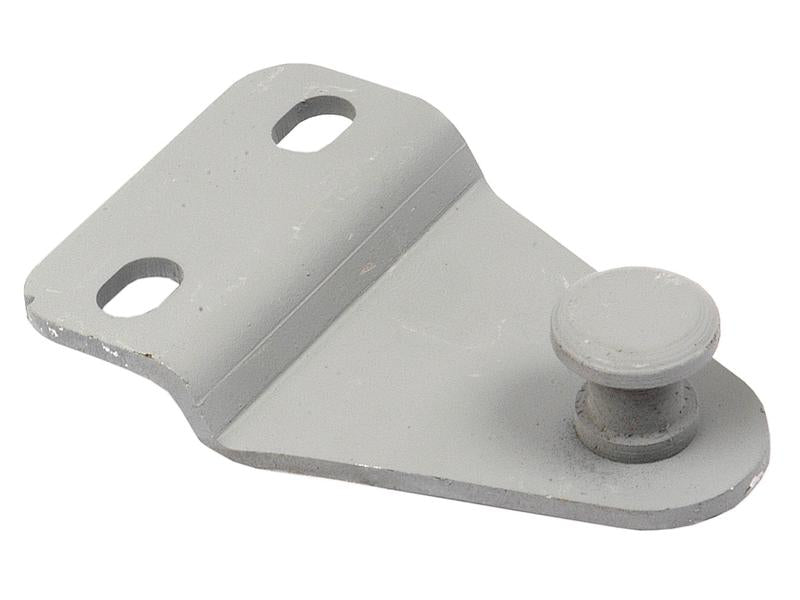 Suporte de trinco do capô (S.67972)