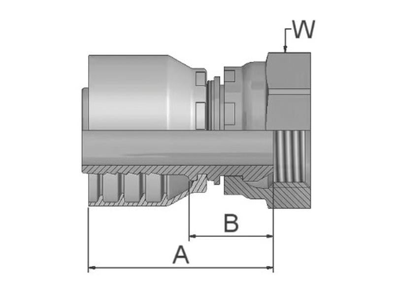 Parker BSP 60° Racord 5/8'' x 5/8'' - 14TPI Fêmea Direito (S.7121010)