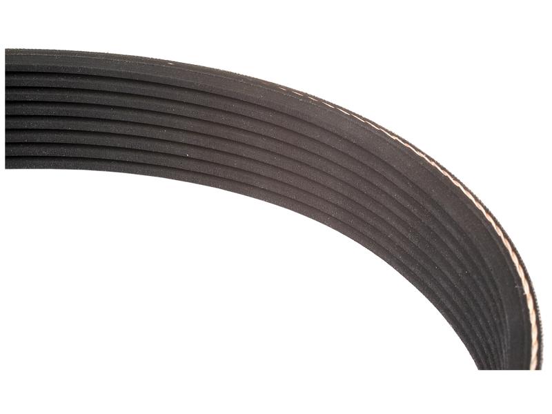 Correia 8PK1625 (S.73415)