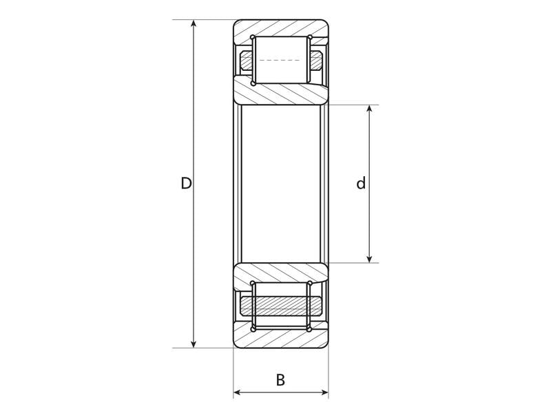 Sparex Rolamento de rolos cilíndricos (544741B) (S.7772)
