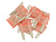 Agripak 10 un. fusiveis placa mini 4.0A rosa (S.79272)