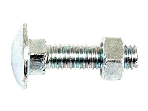 Parafuso c/porca para carroçarias, Tamanho: M6x25mm (DIN 601/934) (S.8224)