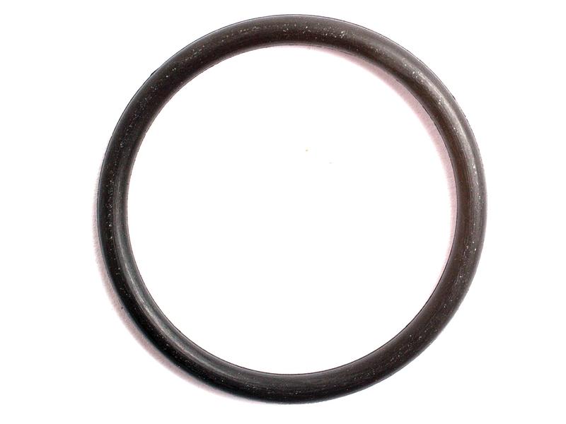 O'ring 2 x 22mm (S.8970)