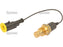 Temperature Sensor (S.107531)