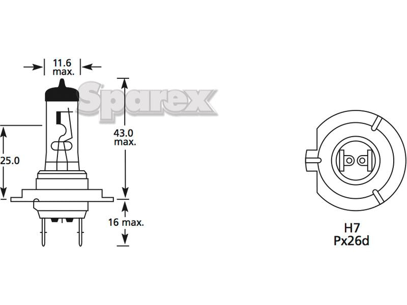 Lâmpada 12V 55W PX26d Caixa (S.109990)