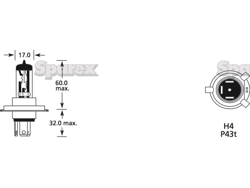 Lâmpada 12V 55W P43t Blister (S.110036)