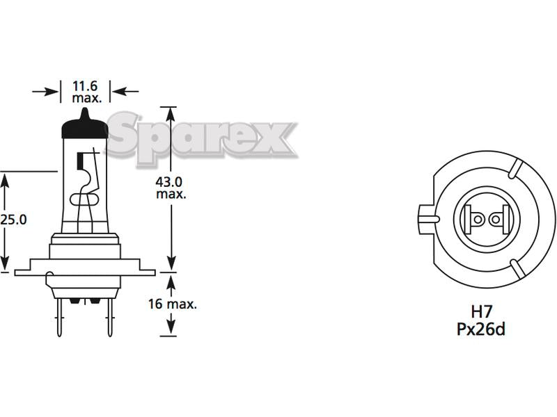 Lâmpada 12V 55W PX26d Blister (S.110038)