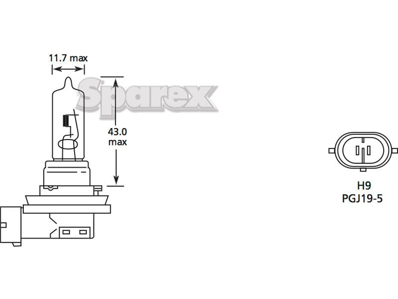 Lâmpada 12V 65W PGJ19-5 Blister (S.110041)