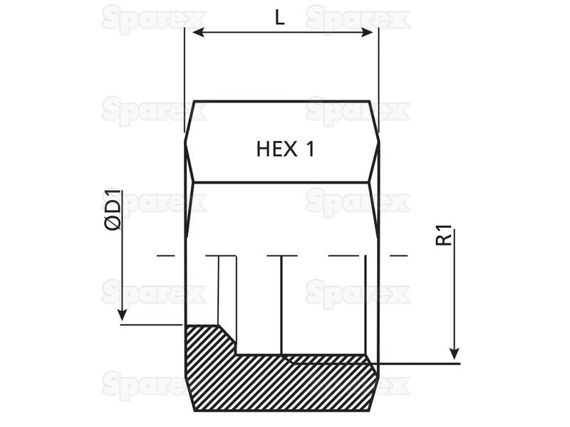 Dicsa Porca M18 x 1.5 (12L) (S.116824)