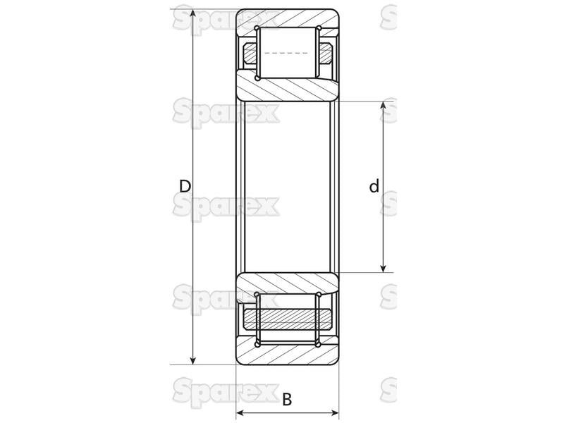 NTN SNR Rolamento de rolos cilíndricos (NU2305EG15) (S.138481)