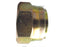 ADPT 3/4''BSP BLANKING CAP (S.14124)