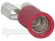 Terminal, Aperto Duplo - Fêmea, 6.3mm, Vermelho (0.5 - 1.5mm) (S.163549)