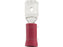 Terminal, Aperto Duplo - Macho, 6.3mm, Vermelho (0.5 - 1.5mm) (S.163552)